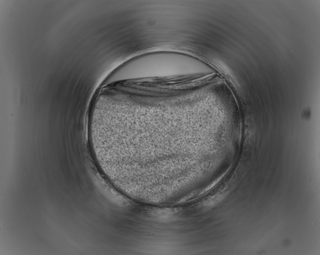 X0000090870892200708241918