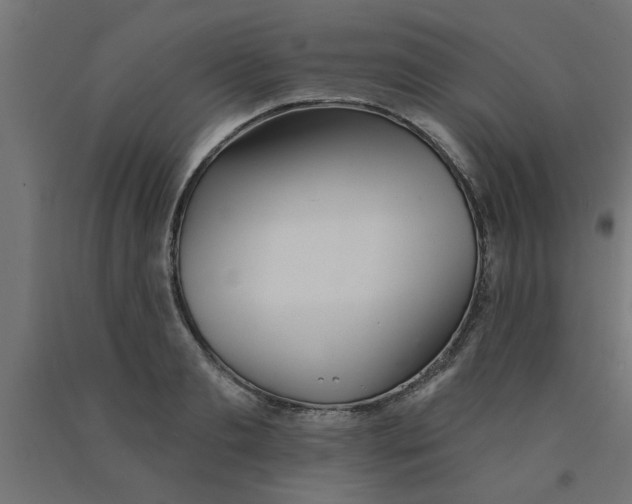 X0000090870893200708241917