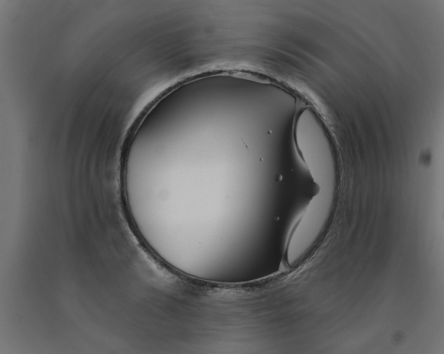 X0000090870894200708241917