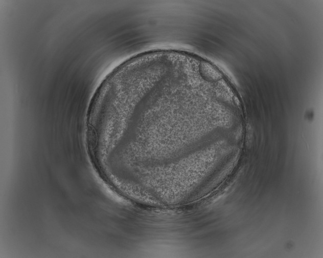 X0000090870895200708241917