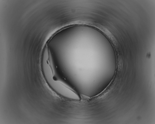 X0000090870896200708241917