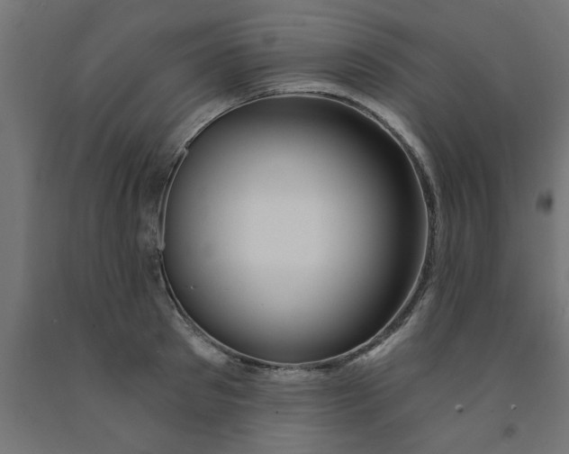 X0000090870897200708241917