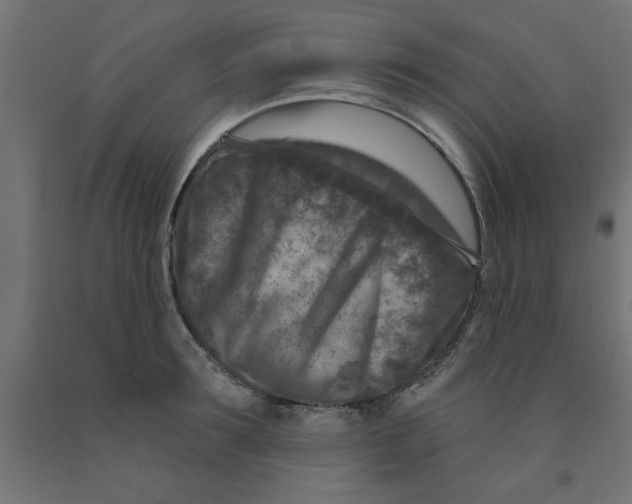 X0000090870899200708241917