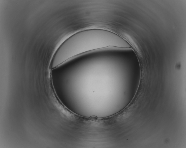 X0000090870900200708241917