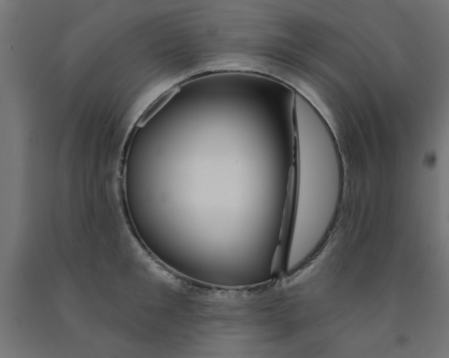 X0000090870901200708241917