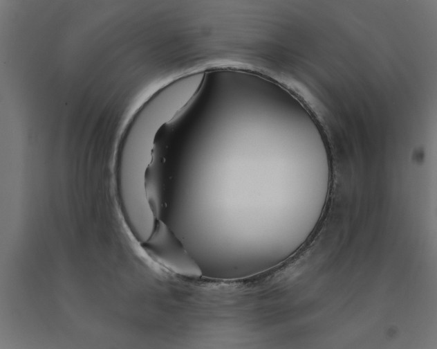 X0000090870902200708241917