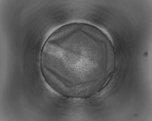 X0000090870903200708241917