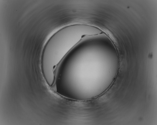 X0000090870904200708241917