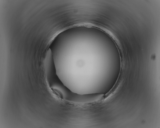 X0000090870905200708241917