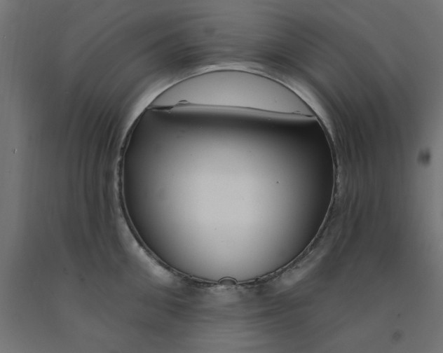 X0000090870906200708241917