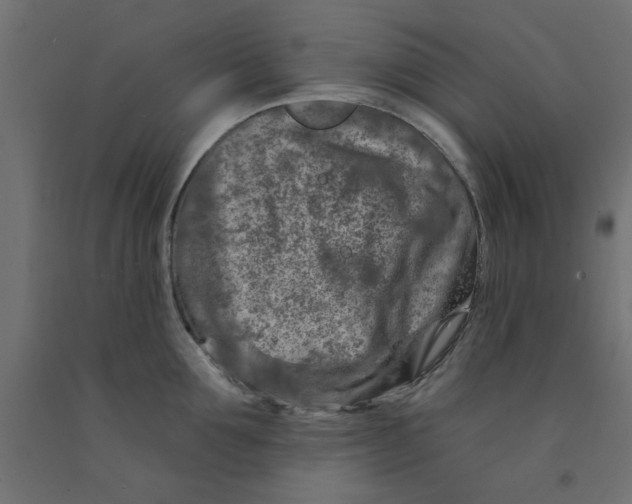 X0000090870907200708241917