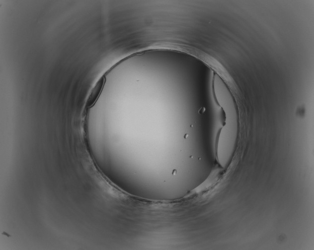 X0000090870908200708241917