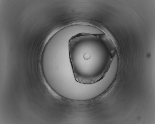 X0000090870909200708241917