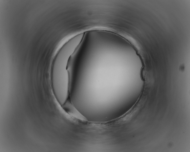 X0000090870910200708241917