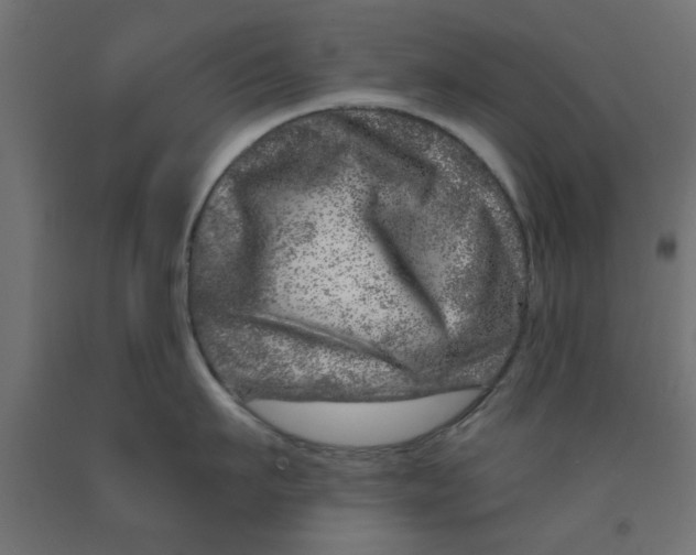 X0000090870911200708241917