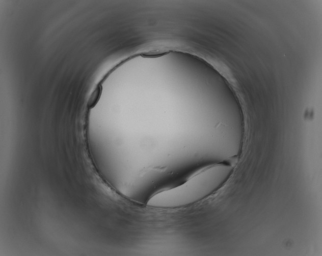 X0000090870912200708241917