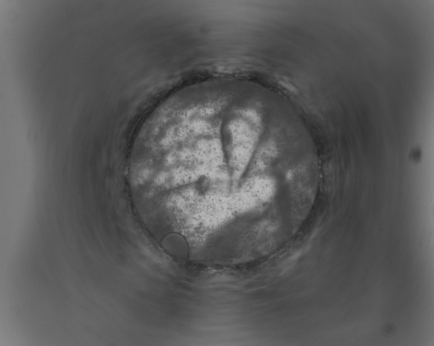 X0000090870913200708241917