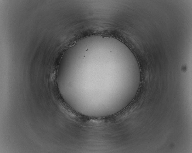 X0000090870914200708241917