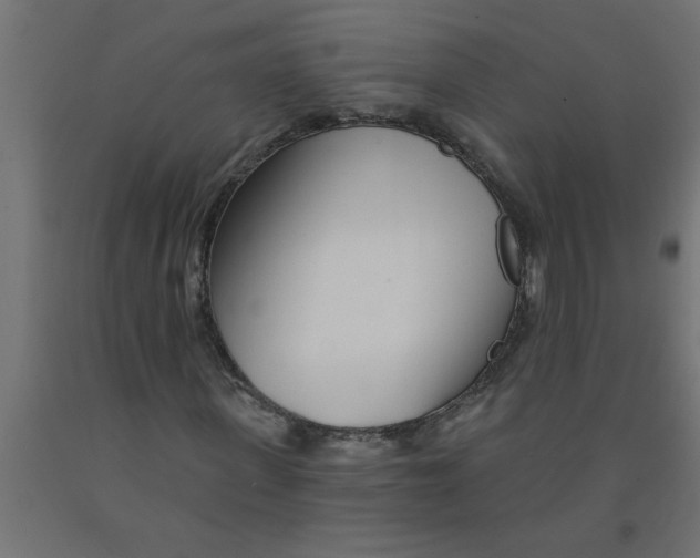 X0000090870915200708241917