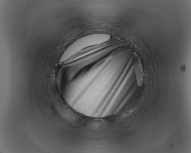 X0000090870916200708241917