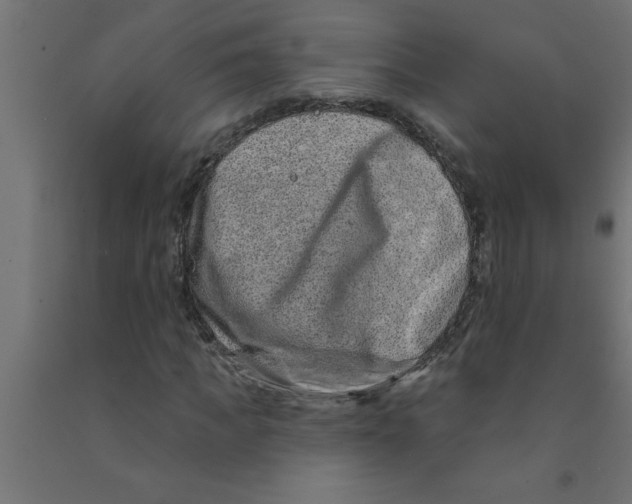 X0000090870917200708241917