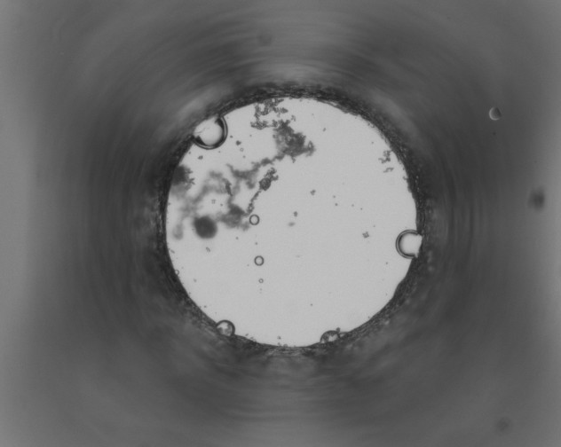 X0000090870918200708241917