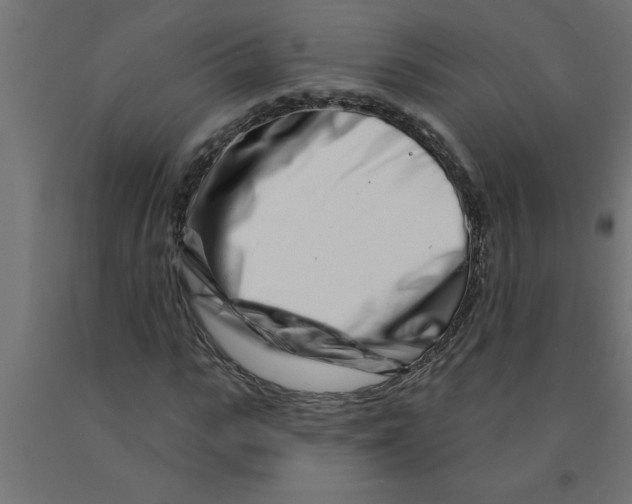 X0000090870919200708241917