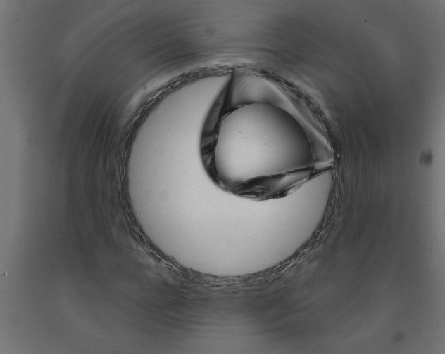 X0000090870920200708241917