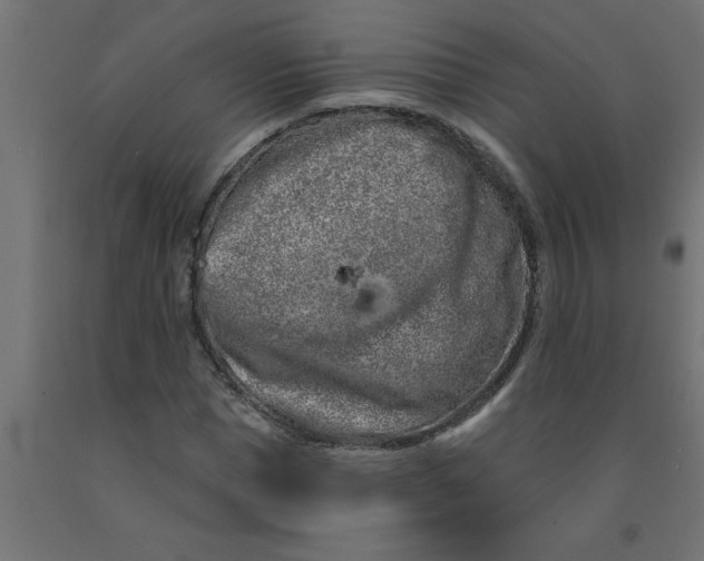 X0000090870921200708241917