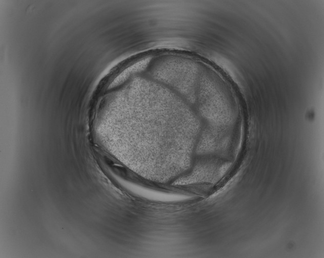 X0000090870923200708241917