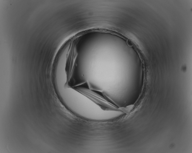 X0000090870924200708241917