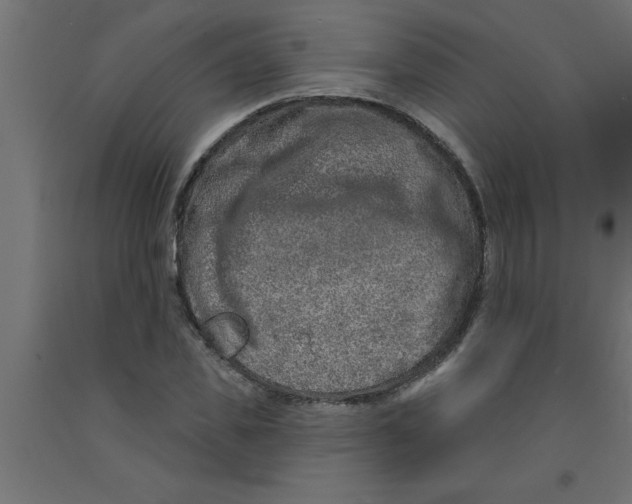 X0000090870925200708241917