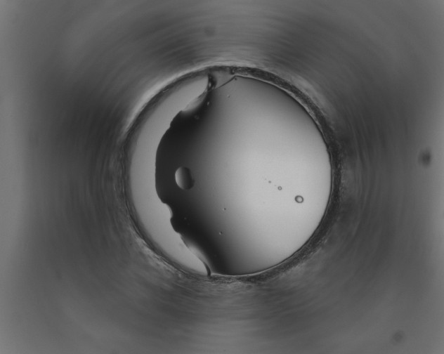 X0000090870926200708241917