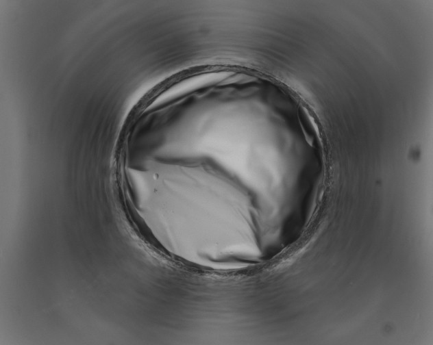 X0000090870928200708241917