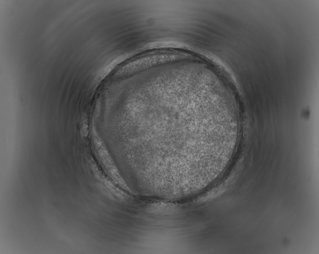 X0000090870929200708241917