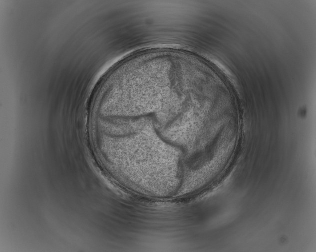 X0000090870933200708241917