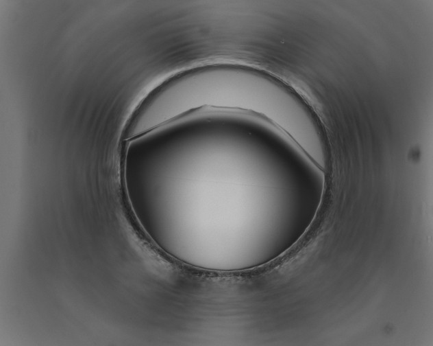 X0000090870934200708241917