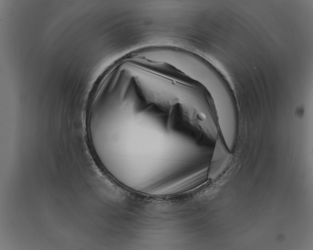 X0000090870935200708241917