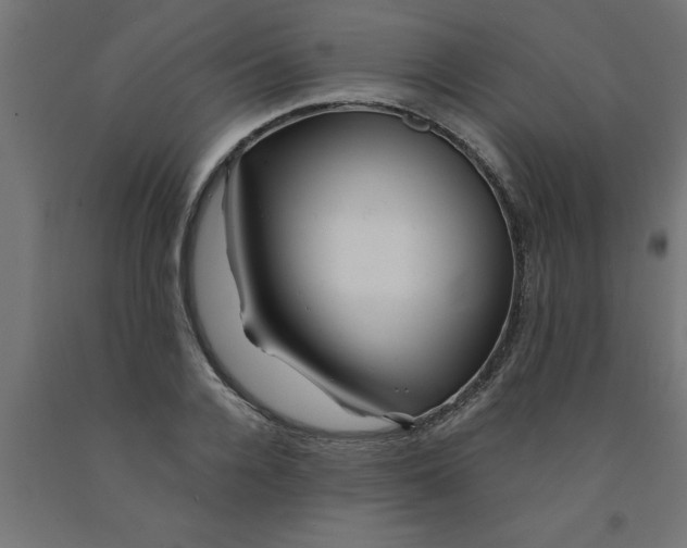 X0000090870936200708241917