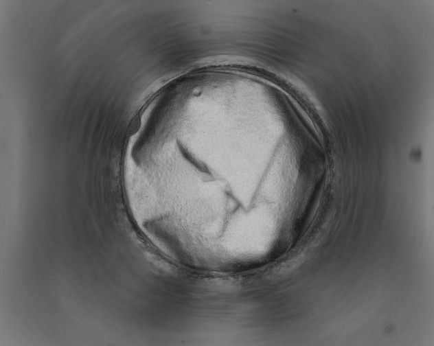 X0000090870937200708241917