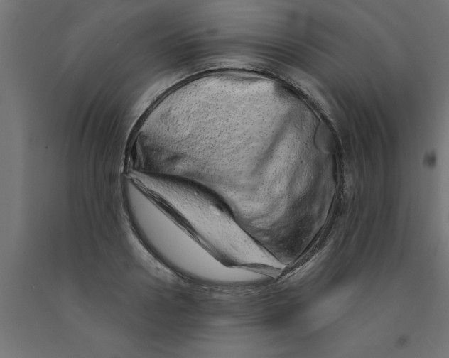 X0000090870938200708241917