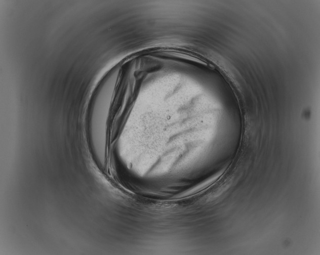 X0000090870939200708241917