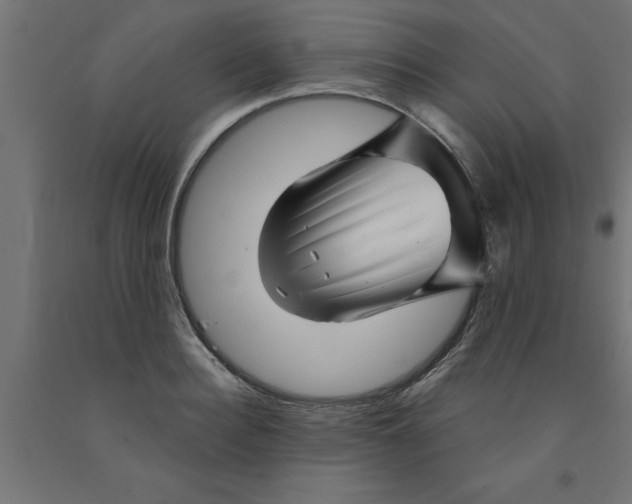 X0000090870940200708241917