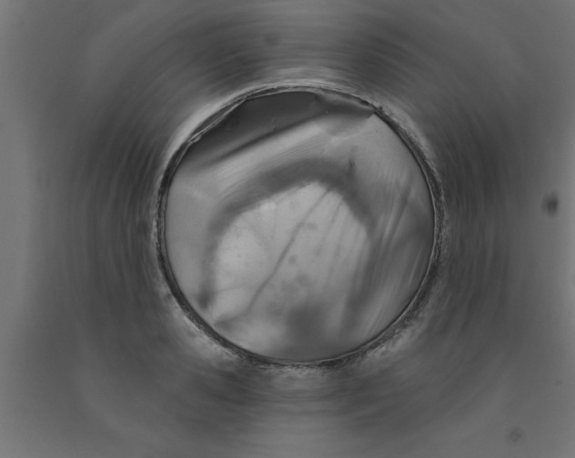 X0000090870941200708241917