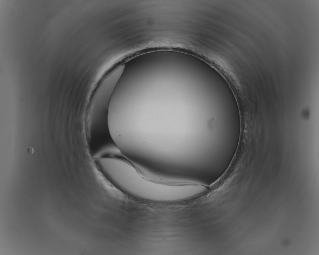 X0000090870942200708241917