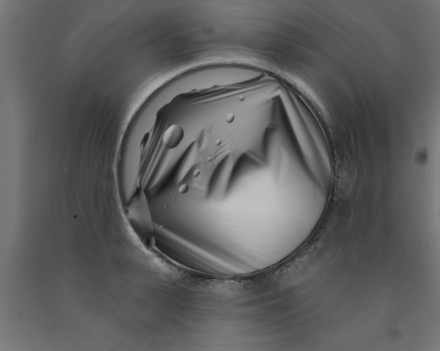 X0000090870943200708241917