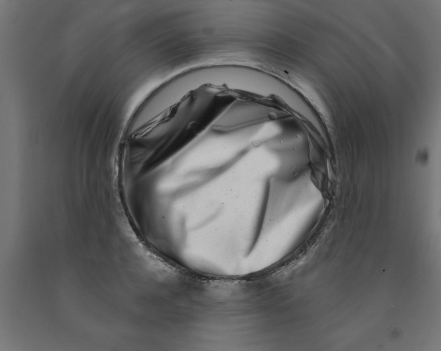 X0000090870944200708241917