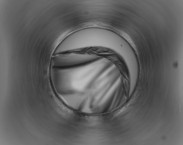 X0000090870946200708241917