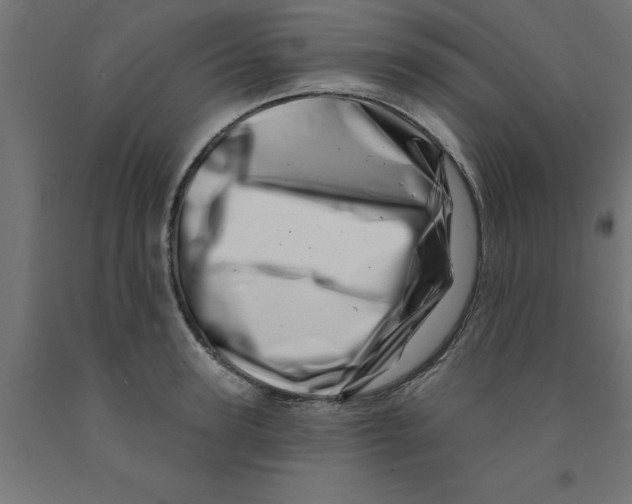 X0000090870947200708241917