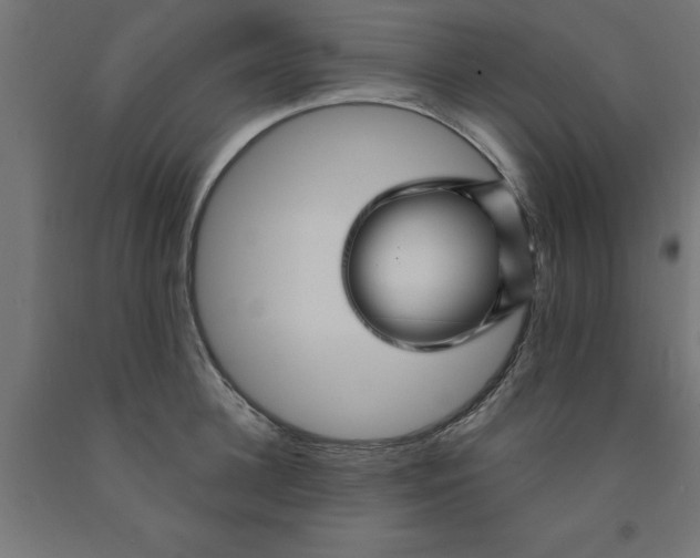 X0000090870948200708241917